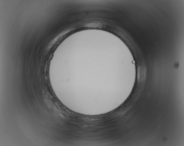 X0000115760723200912241728