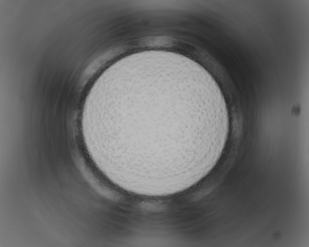 X0000115760725200912241728