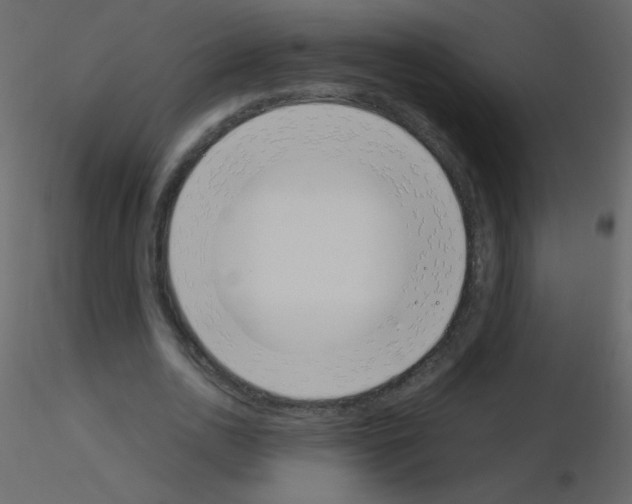 X0000115760726200912241728
