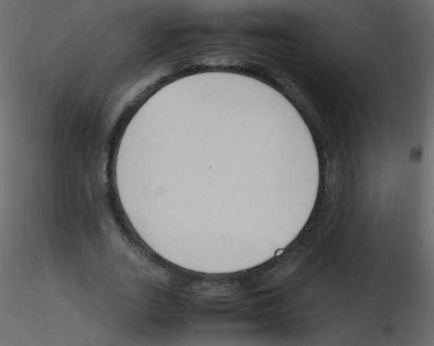 X0000115760727200912241728