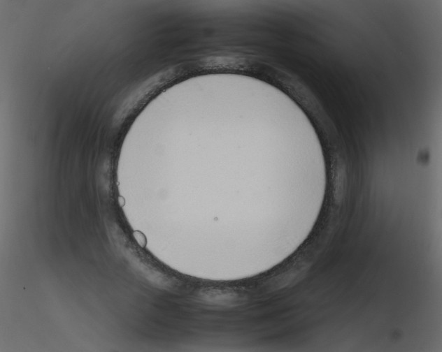 X0000115760729200912241728