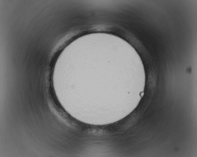 X0000115760730200912241728
