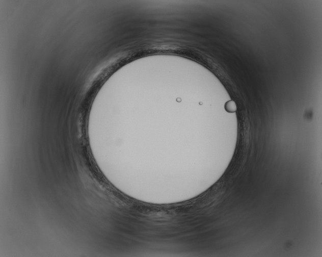 X0000115760731200912241728
