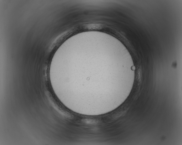X0000115760733200912241728
