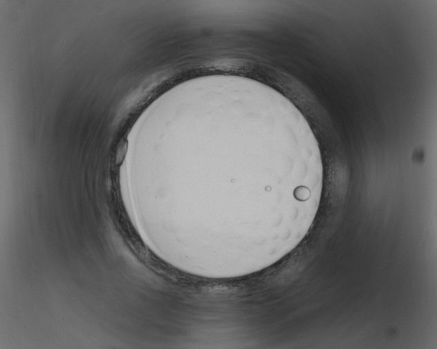 X0000115760734200912241728
