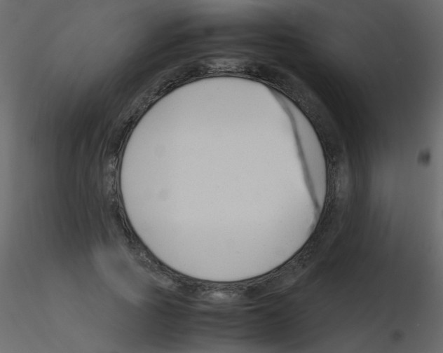 X0000115760737200912241728