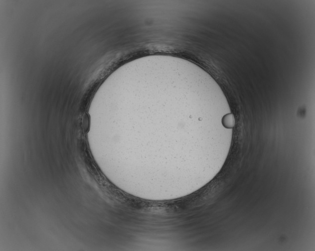 X0000115760738200912241728