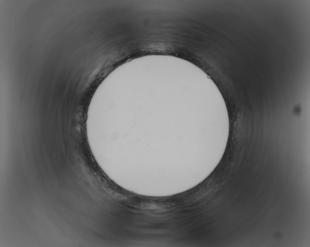 X0000115760739200912241728