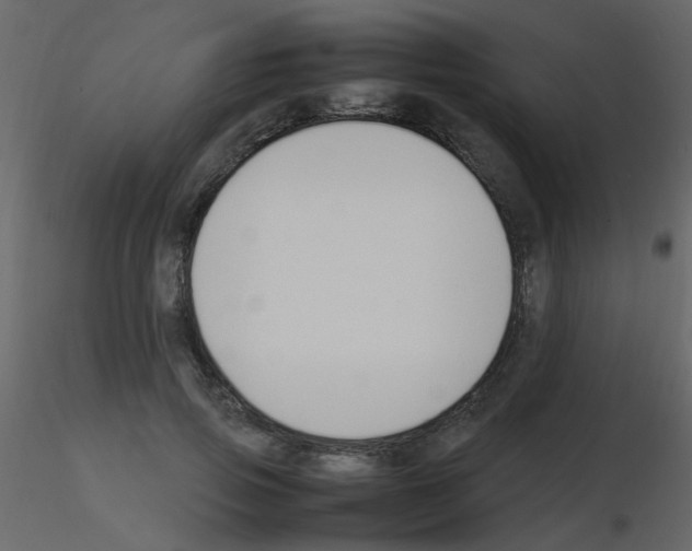 X0000115760741200912241728