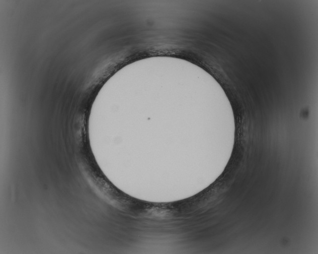 X0000115760742200912241728