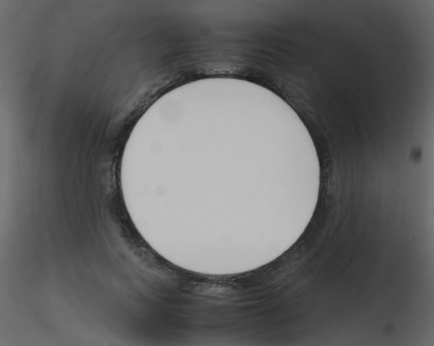 X0000115760743200912241728