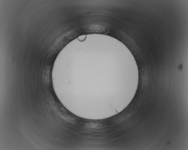 X0000115760745200912241728