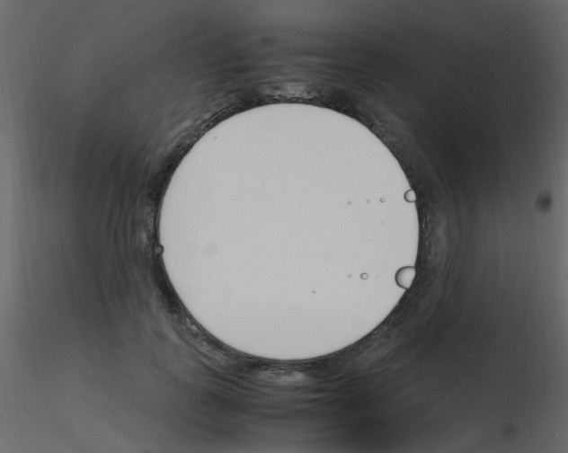 X0000115760747200912241728