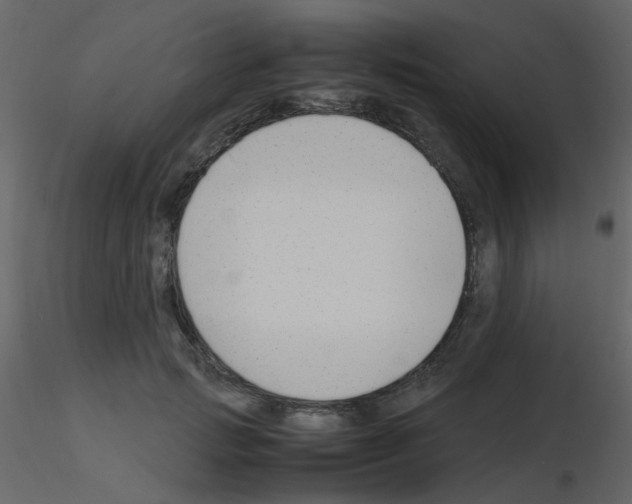 X0000115760749200912241728