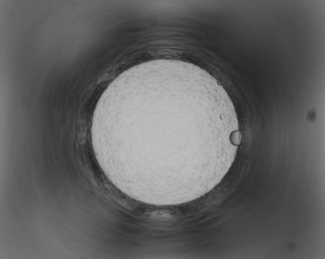 X0000115760751200912241728