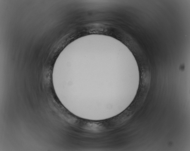 X0000115760753200912241729