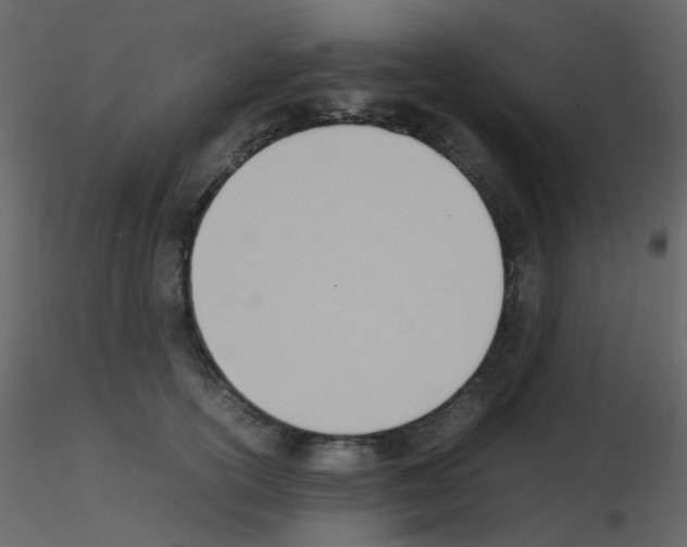 X0000115760754200912241729