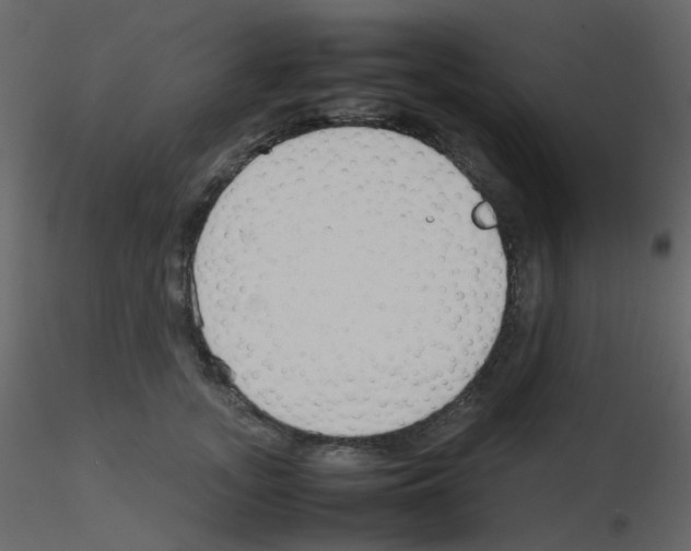 X0000115760755200912241729