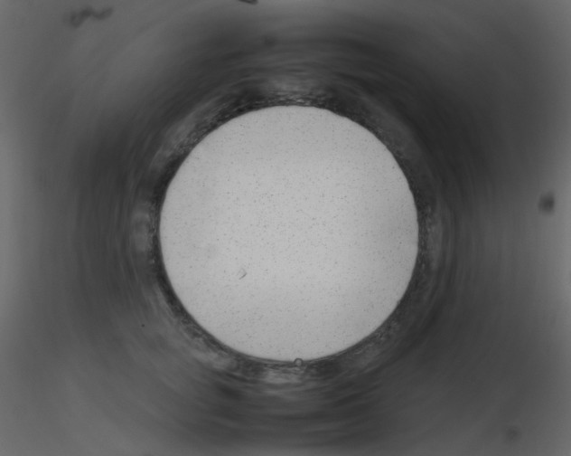 X0000115760757200912241729