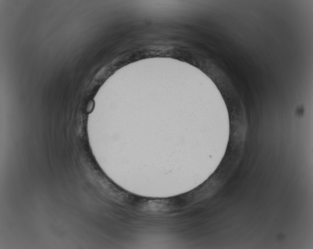 X0000115760758200912241729