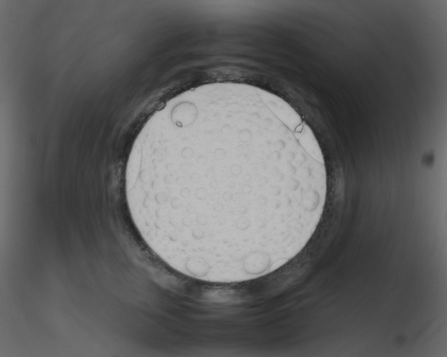 X0000115760759200912241729