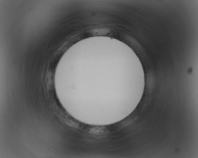 X0000115760761200912241729