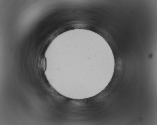 X0000115760763200912241729