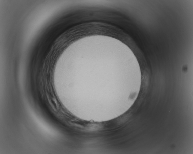 X0000115760765200912241729