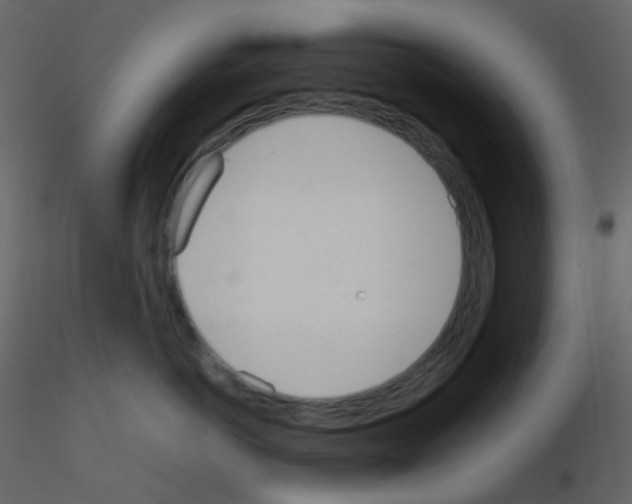 X0000115760766200912241729