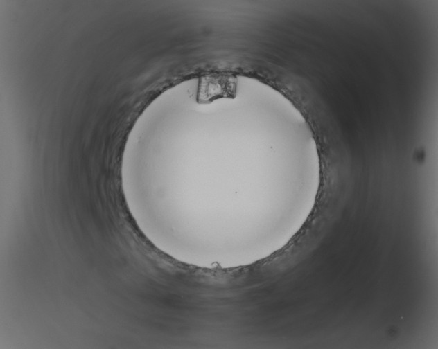 X0000115760769200912241728
