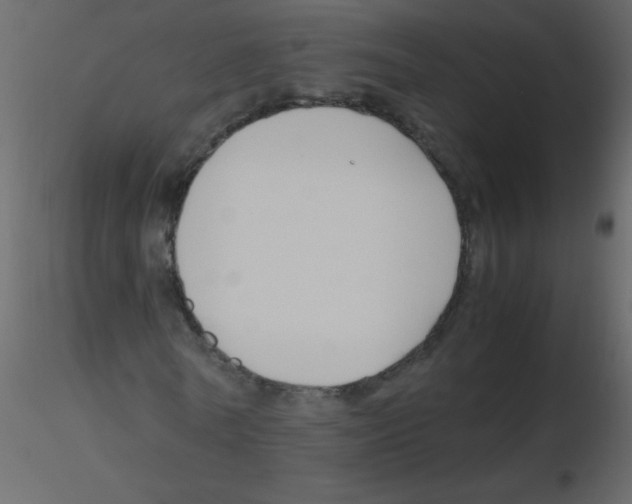 X0000115760770200912241728
