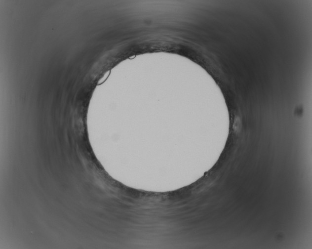 X0000115760771200912241728