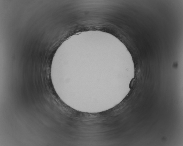 X0000115760772200912241728