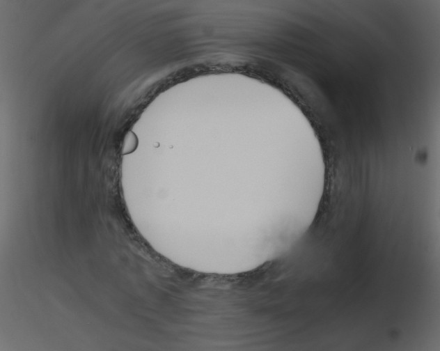 X0000115760773200912241728
