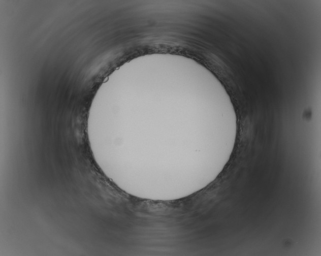 X0000115760774200912241728
