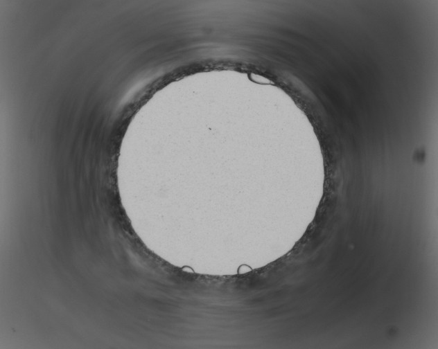 X0000115760775200912241728