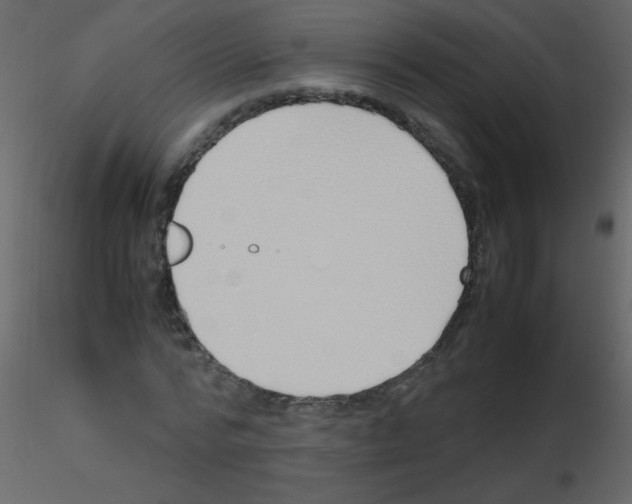 X0000115760776200912241728