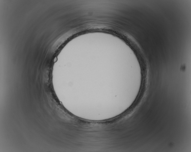 X0000115760777200912241728