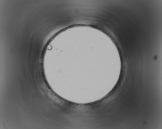X0000115760779200912241728