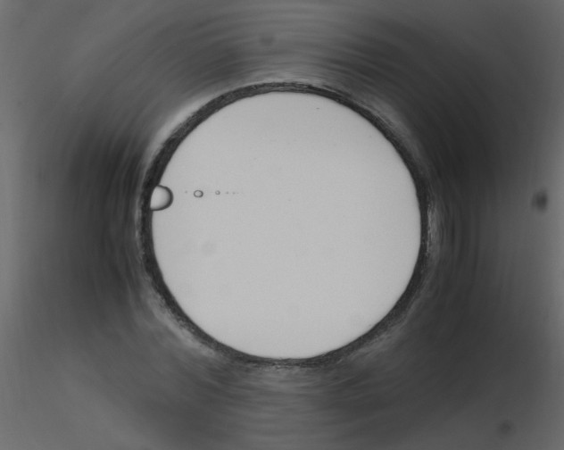 X0000115760780200912241728