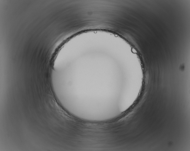 X0000115760781200912241728