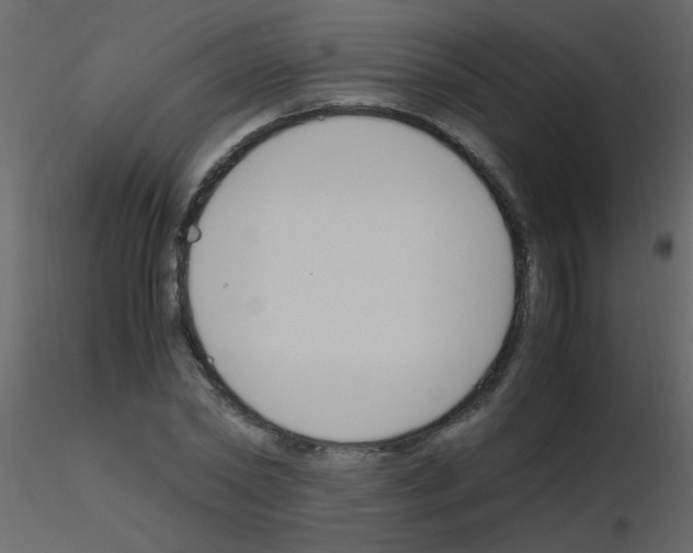X0000115760782200912241728