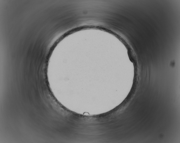 X0000115760783200912241728