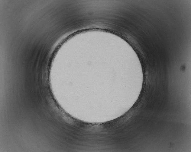X0000115760784200912241728