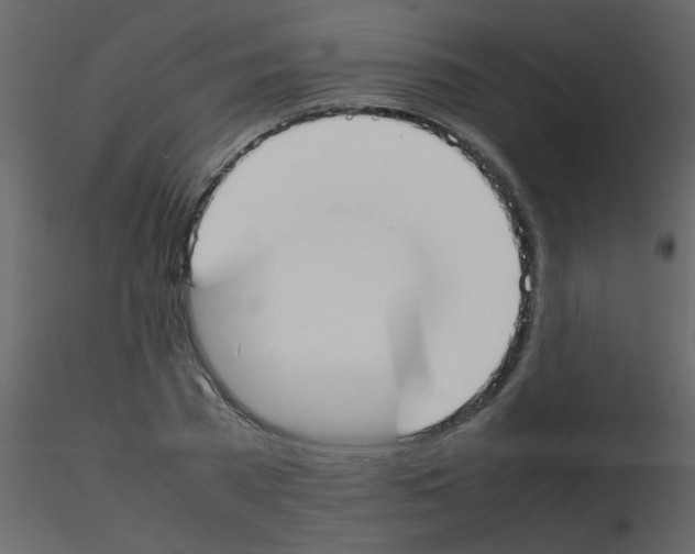 X0000115760785200912241728