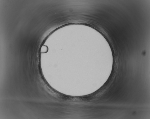 X0000115760787200912241728