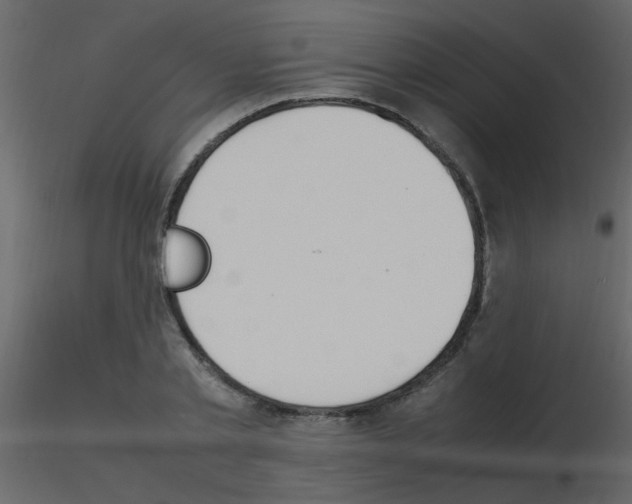 X0000115760789200912241728