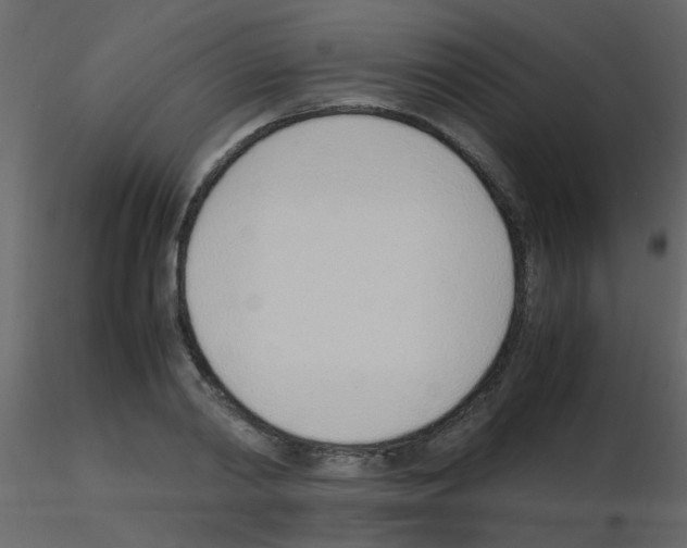 X0000115760790200912241728