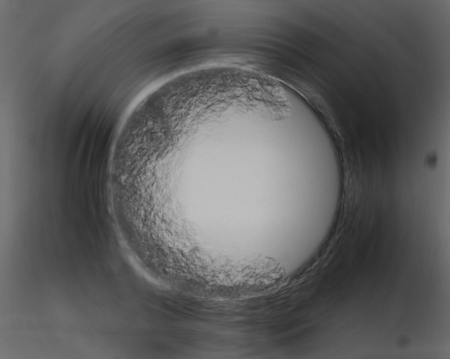 X0000115760792200912241728
