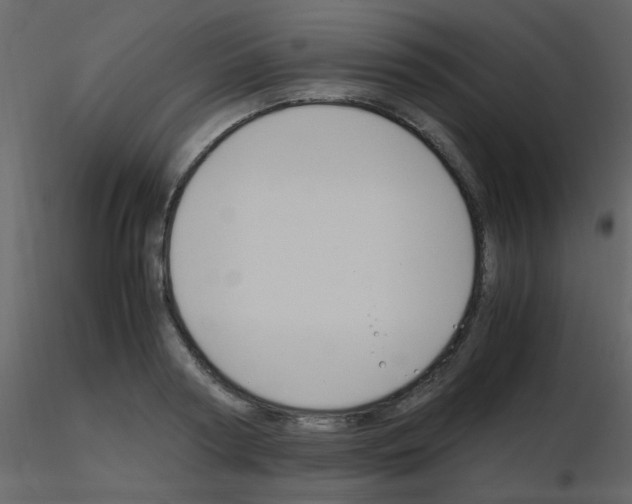 X0000115760794200912241728